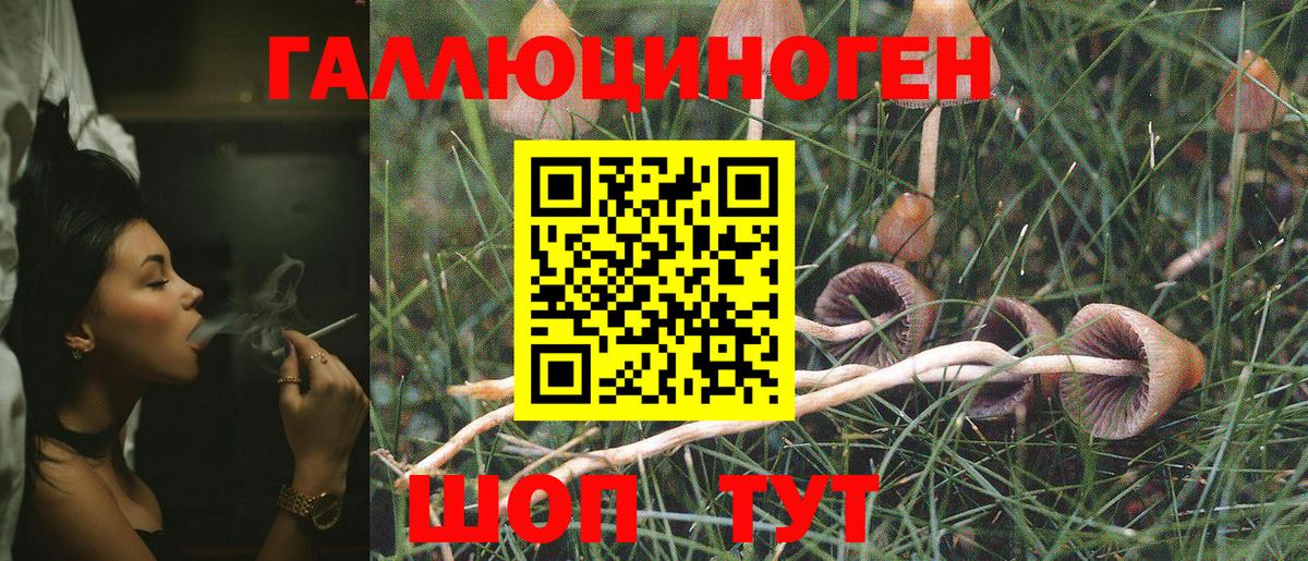 Галлюциногенные грибы Psilocybe  Псилоцибиновые грибы ЛСД  Новый Уренгой  Вход с VPN 