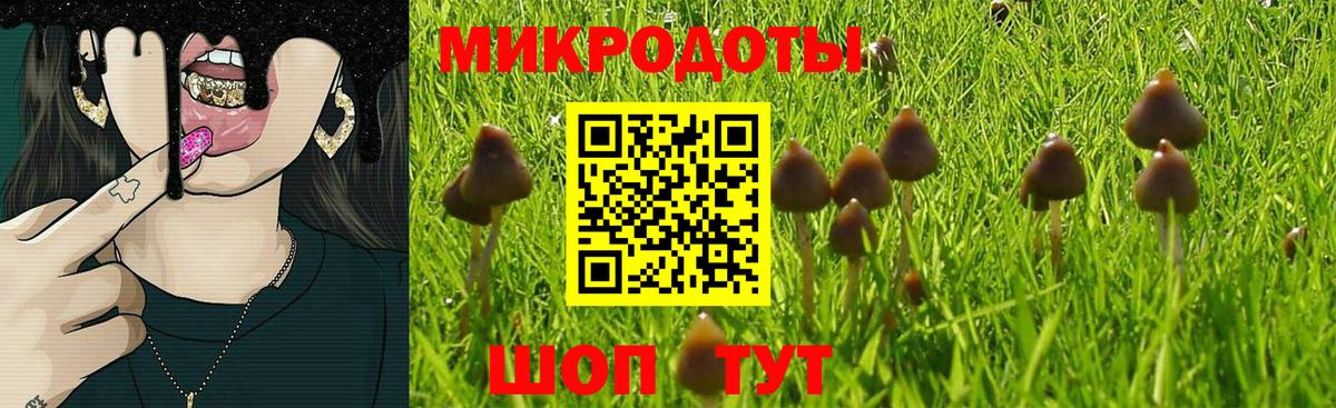 Галлюциногенные грибы Magic Shrooms Новый Уренгой